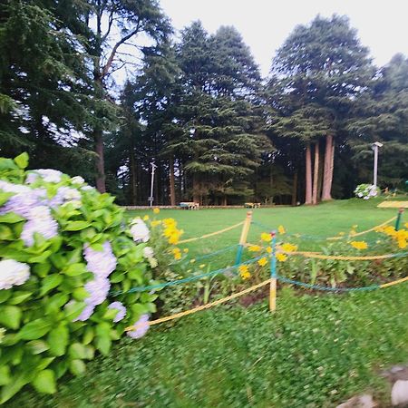 Smarthill Kalatop-Nature'S Heaven Hotel Dalhousie Ngoại thất bức ảnh