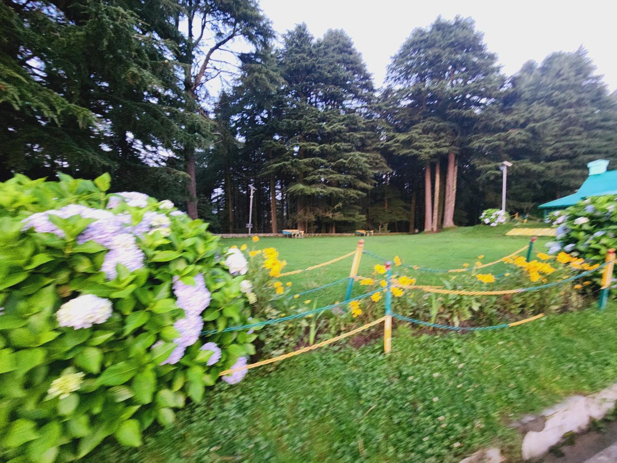 Smarthill Kalatop-Nature'S Heaven Hotel Dalhousie Ngoại thất bức ảnh