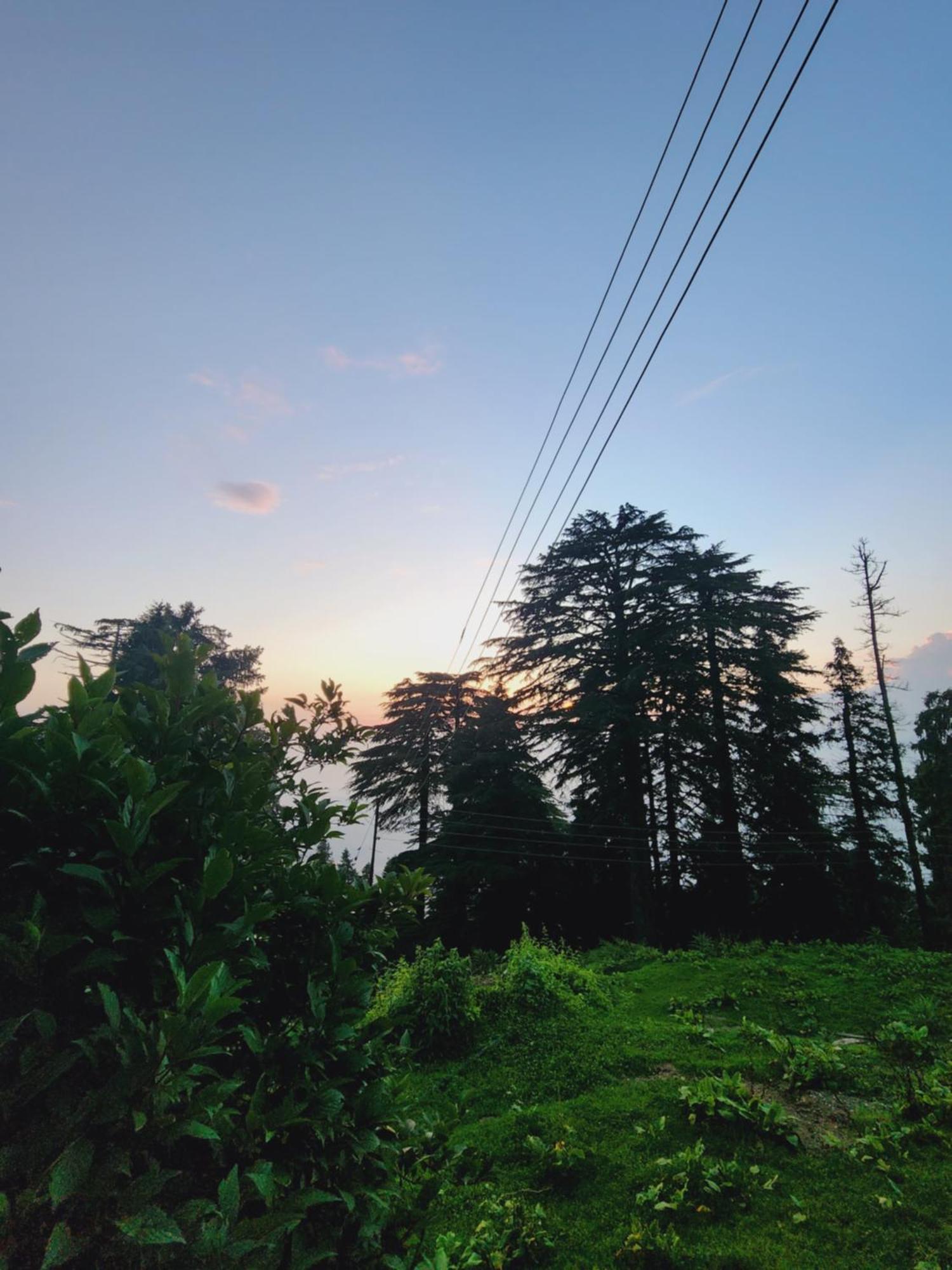 Smarthill Kalatop-Nature'S Heaven Hotel Dalhousie Ngoại thất bức ảnh