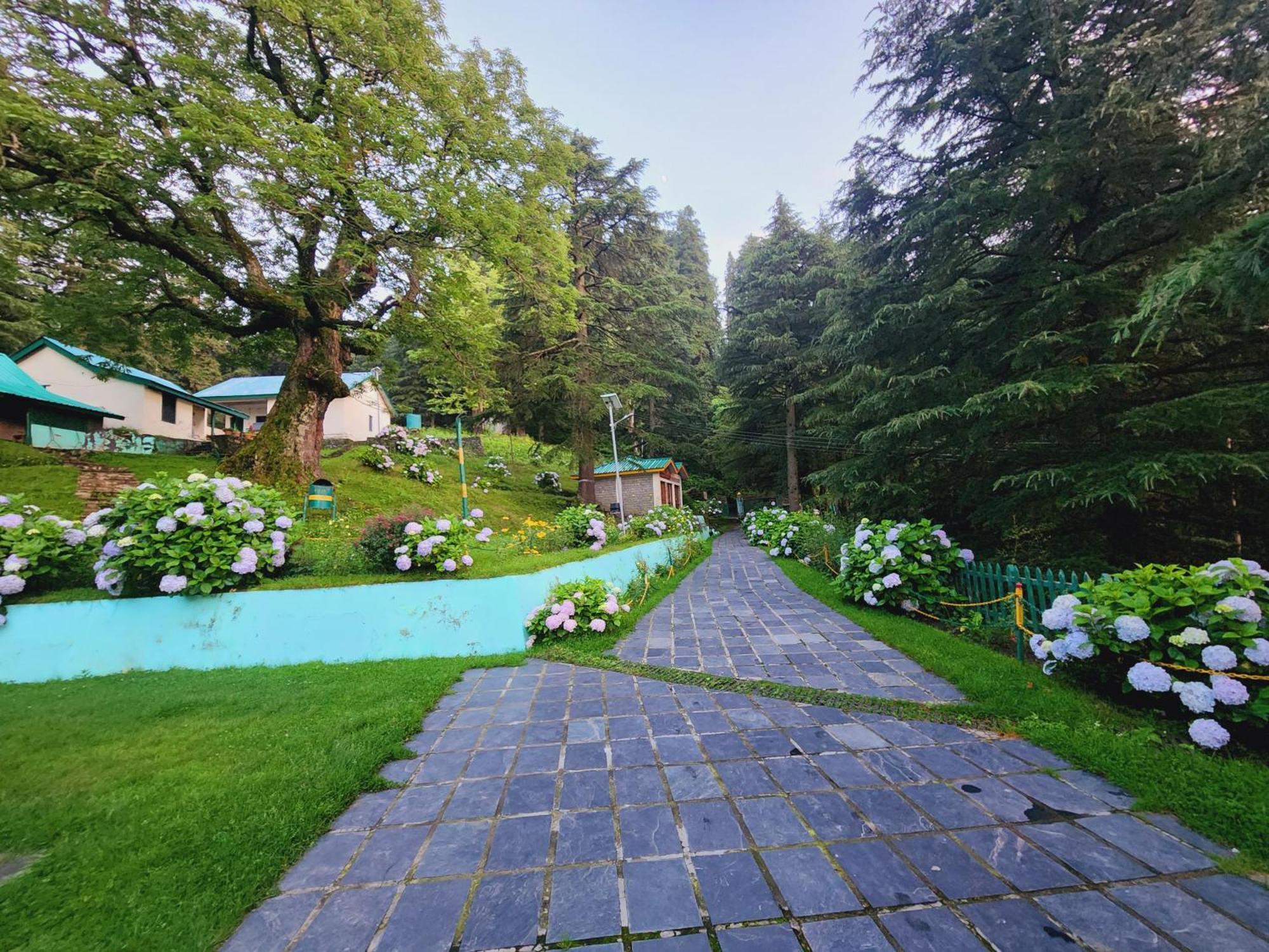 Smarthill Kalatop-Nature'S Heaven Hotel Dalhousie Ngoại thất bức ảnh
