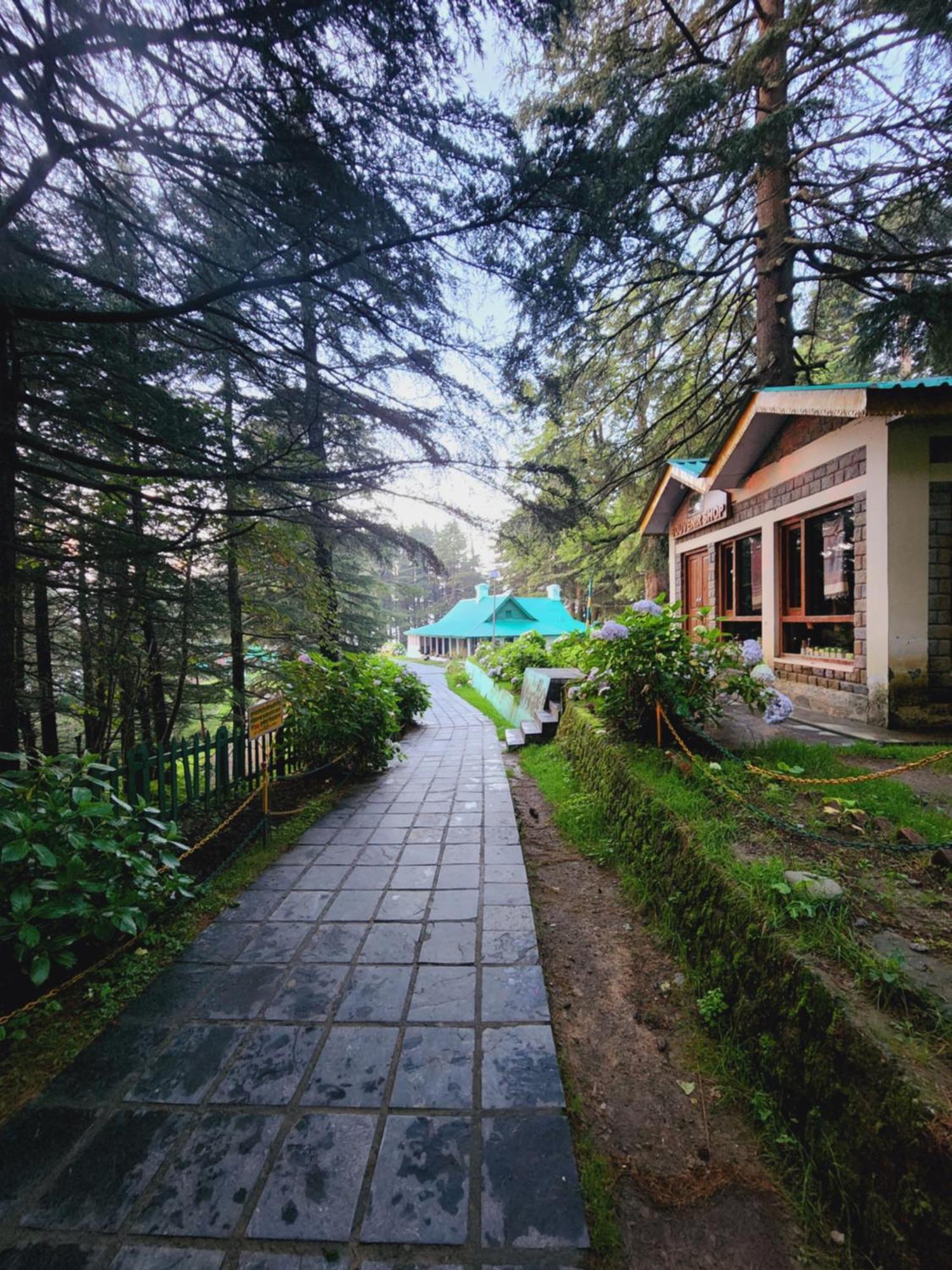 Smarthill Kalatop-Nature'S Heaven Hotel Dalhousie Ngoại thất bức ảnh