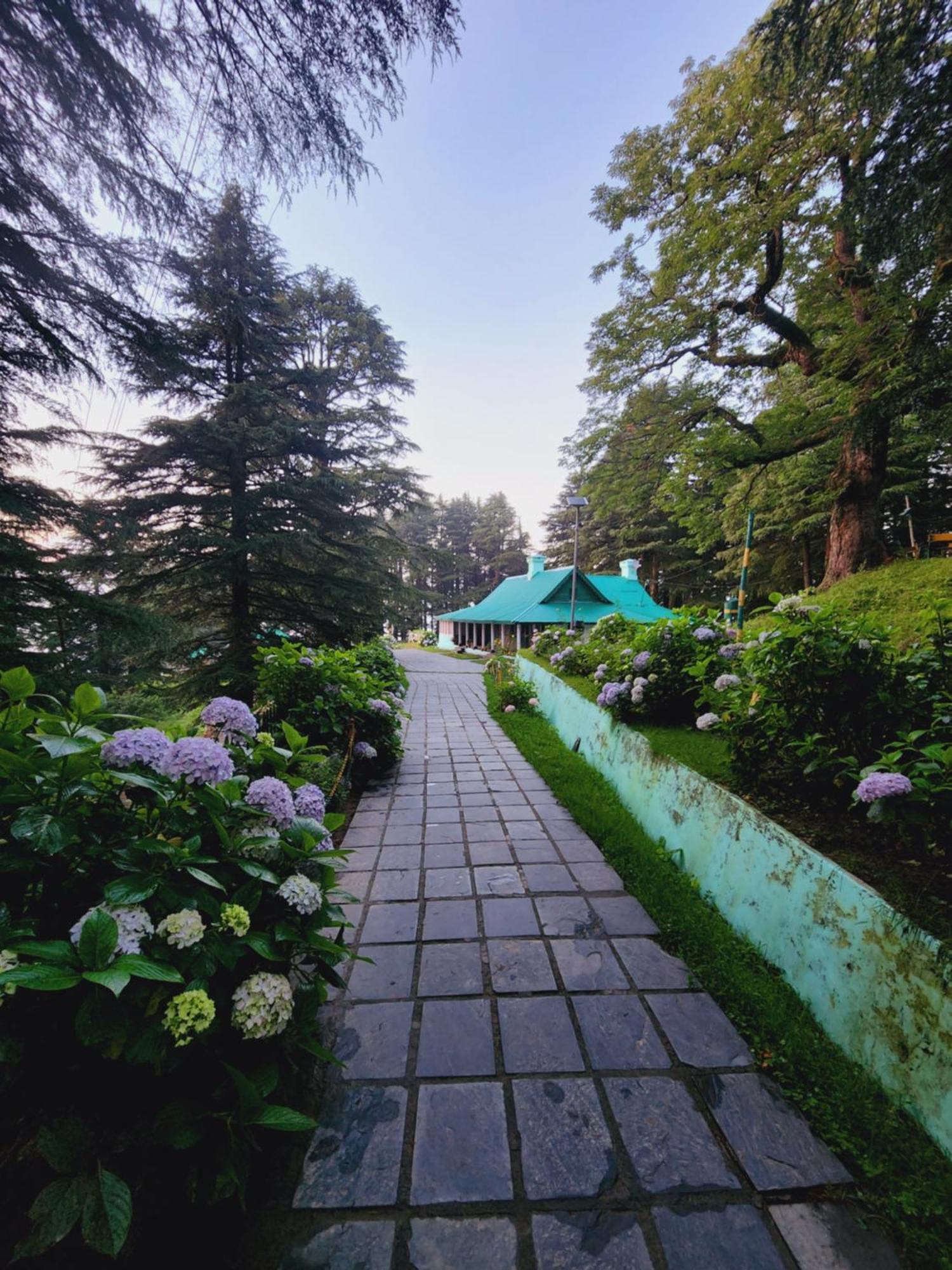 Smarthill Kalatop-Nature'S Heaven Hotel Dalhousie Ngoại thất bức ảnh
