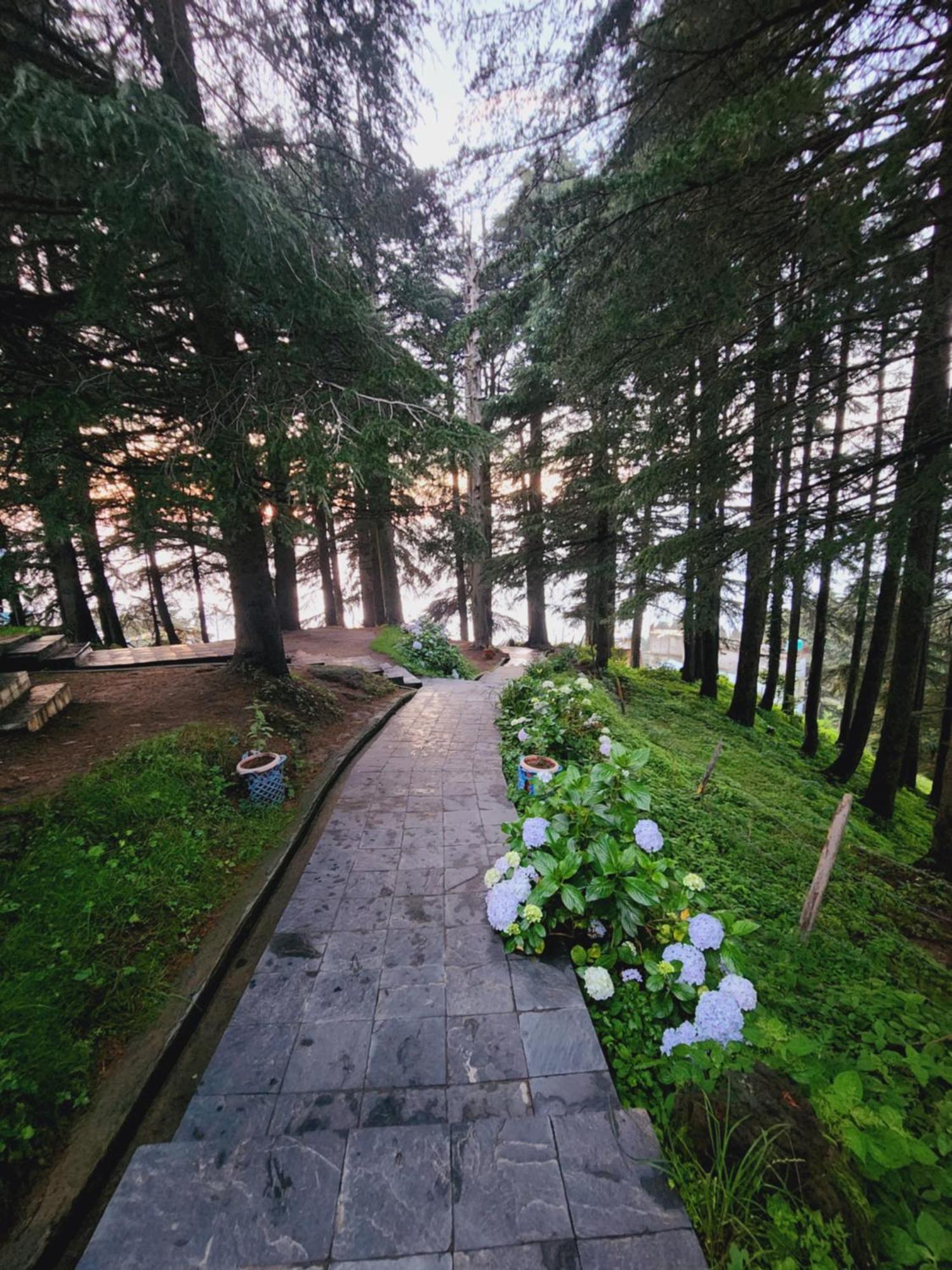 Smarthill Kalatop-Nature'S Heaven Hotel Dalhousie Ngoại thất bức ảnh