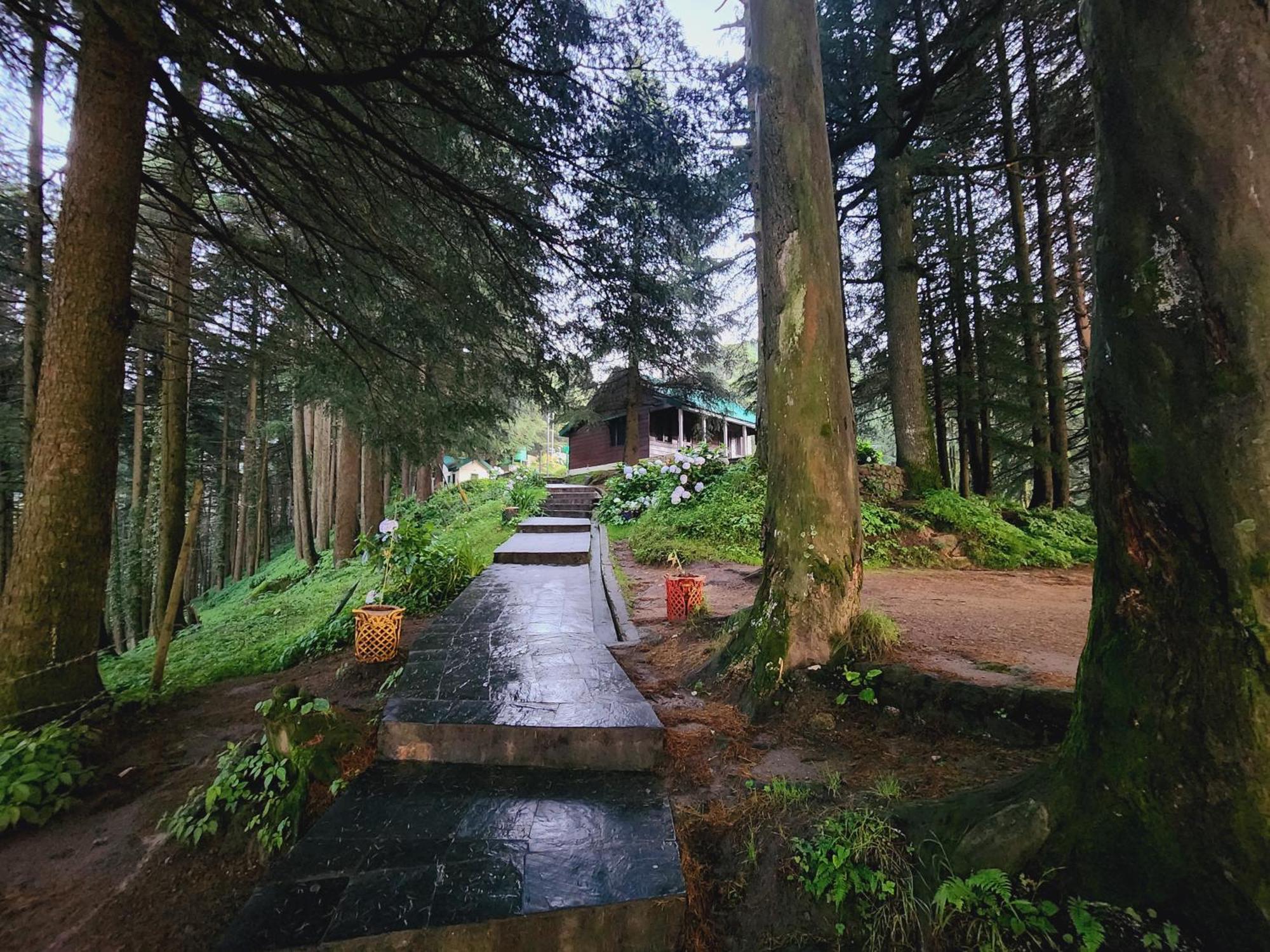 Smarthill Kalatop-Nature'S Heaven Hotel Dalhousie Ngoại thất bức ảnh